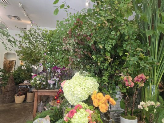 Le Jardin Français Boutique by null