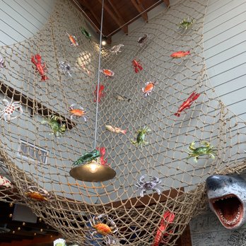 Storming Crab - a fish net hanging from the ceiling - Seafood Near Me - Buffalo, New York Storming Crab - a fish net hanging from the ceiling - Seafood Near Me - Buffalo, New York