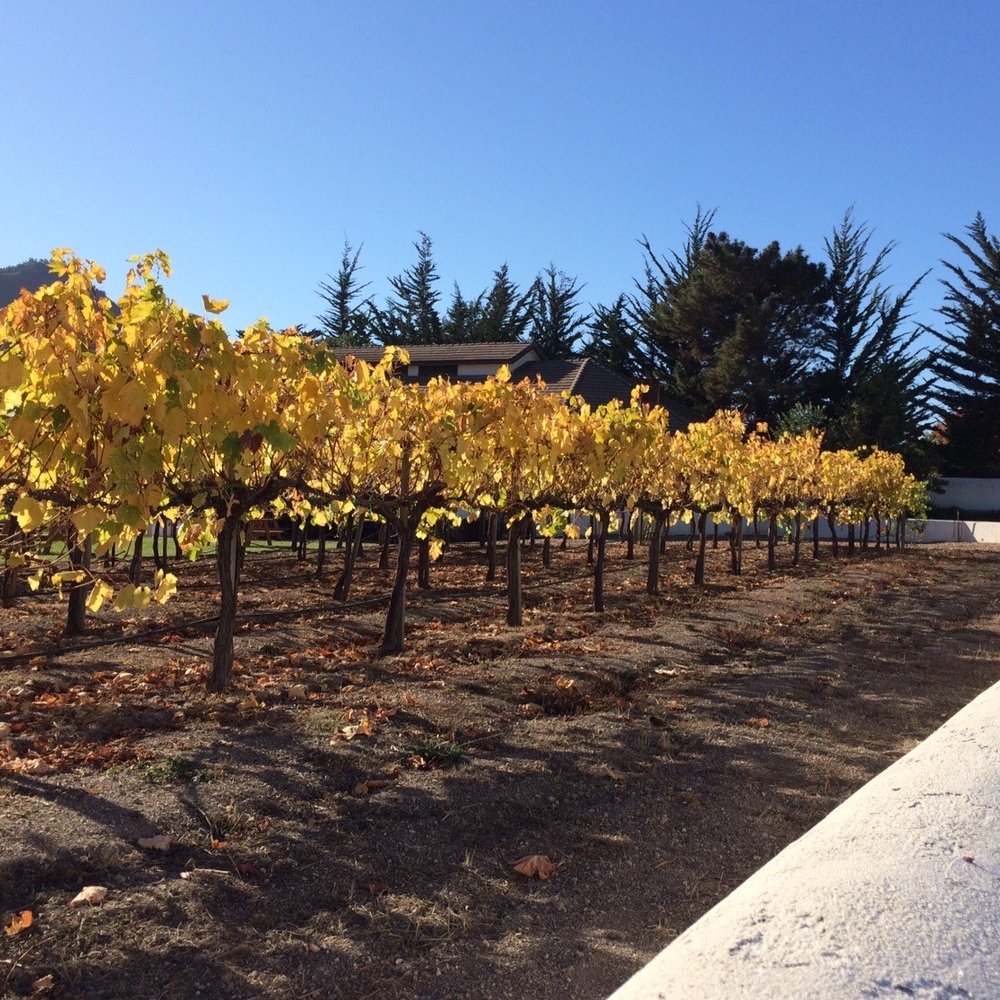 Folktale Winery - Wineries Near Me - Carmel, California Folktale Winery - Wineries Near Me - Carmel, California