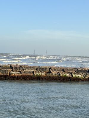 The Original Dolphin Watch by null