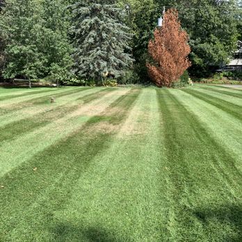 North Country Landscaping - a freshly mowed lawn - Lawn Services Near Me North Country Landscaping - a freshly mowed lawn - Lawn Services Near Me