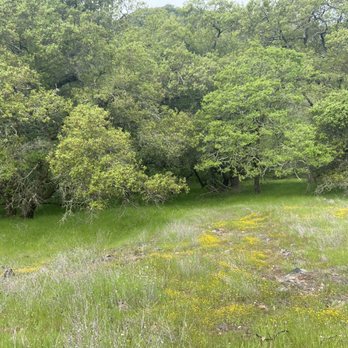 Skyline Wilderness Park - Meadows - Parks Near Me - Napa, California Skyline Wilderness Park - Meadows - Parks Near Me - Napa, California
