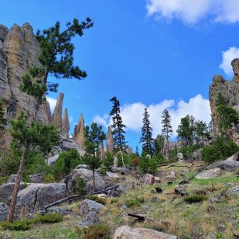 Custer State Park - Image of Custer State Park. - Parks Near Me - Custer, South Dakota Custer State Park - Image of Custer State Park. - Parks Near Me - Custer, South Dakota