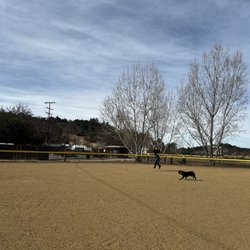 Jess Martin County Park - He fast af boy