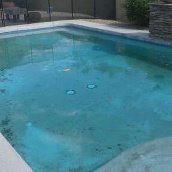 At Your Service Home Watch - Is the pool service still coming? - House Sitters Near Me At Your Service Home Watch - Is the pool service still coming? - House Sitters Near Me