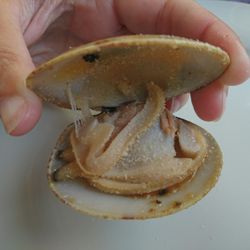El Pozo