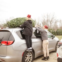 Trees For Less Nursery
