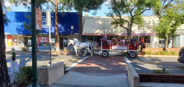 Pepe's Mexican Restaurant by null