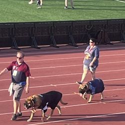 Indy Eleven - Mascots