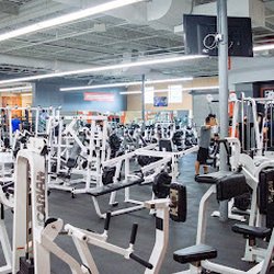 FITWORKS Parma - Weight training at FITWORKS Parma.