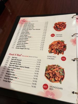 Menu photo 2 China Ho Restaurant Chicago, IL Menu photo 2 China Ho Restaurant Chicago, IL