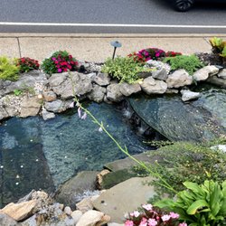 Greenvale Townhouse Restaurant - Stream in front
