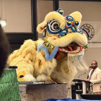 Three Branches Kung Fu - Dragon dance at USKSF tournament - Chinese Martial Arts Near Me - Baltimore, Maryland Three Branches Kung Fu - Dragon dance at USKSF tournament - Chinese Martial Arts Near Me - Baltimore, Maryland