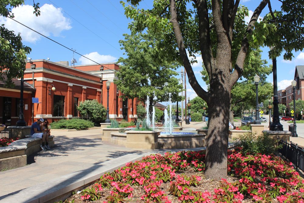 Downers Grove Counseling and Wellness - grief counselor in Downers Grove, IL