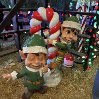 Live Oak Canyon Pumpkin Patch and Christmas Tree Farm - Christmas Trees Near Me - Redlands, California Live Oak Canyon Pumpkin Patch and Christmas Tree Farm - Christmas Trees Near Me - Redlands, California