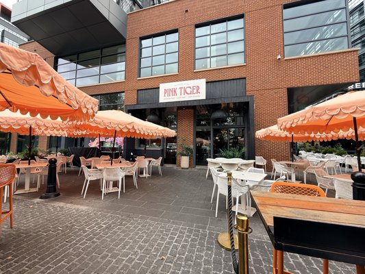 Pink Tiger on the Wharf by null