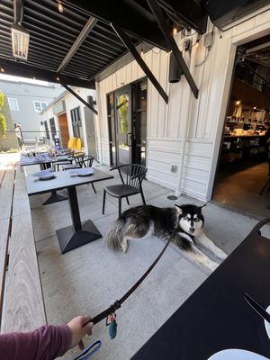 The Victor Tavern - Edmonds by null