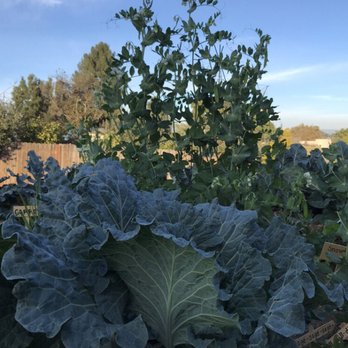 Eastman Soil Amendments - Nurseries & Gardening Near Me - San Marcos, California