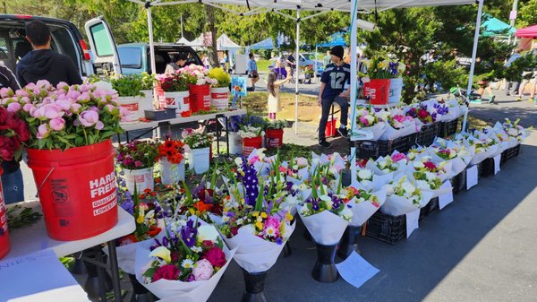 Shoreline Farmers Market by null