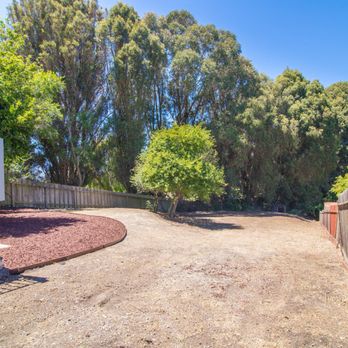 Eco Grounds Landscaping - Backyard Cleanup - Landscaping Near Me