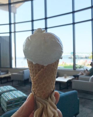 Shore Pine Coffee & Gelato by null