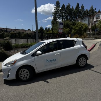 Crittella Pest Services - Representative was on time and noticed from a mile away. - Pest Control Near Me - San Ramon, California Crittella Pest Services - Representative was on time and noticed from a mile away. - Pest Control Near Me - San Ramon, California