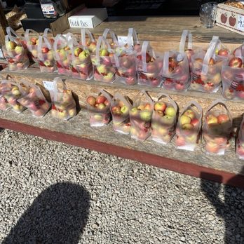 Windy Hill Orchard & Cidery - Cideries Near Me - York, South Carolina Windy Hill Orchard & Cidery - Cideries Near Me - York, South Carolina