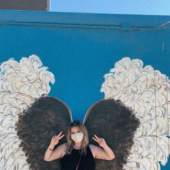 Ostrichland USA - Fun ostrich wing photo op - Attraction Farms Near Me - Solvang, California Ostrichland USA - Fun ostrich wing photo op - Attraction Farms Near Me - Solvang, California