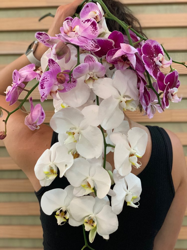 FLOWERS FOR EVERYONE 75 Photos 1014 Market Lane (G5), Rouse Hill New South Wales, Australia FLOWERS FOR EVERYONE 75 Photos 1014 Market Lane (G5), Rouse Hill New South Wales, Australia