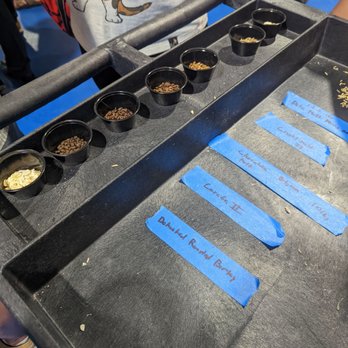 Elite Event: Schussboom Brewing's Sunset Soiree - Brewery Tour! - Yelp Events Near Me - Reno, Nevada Elite Event: Schussboom Brewing's Sunset Soiree - Brewery Tour! - Yelp Events Near Me - Reno, Nevada