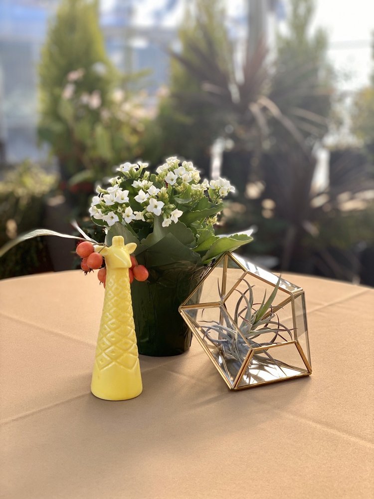 MILWAUKIE FLORAL AND GARDEN 24 Photos & 27 Reviews 3306 SE Lake Rd