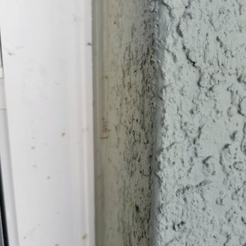 Spire Pest Control - Pest Control Near Me
