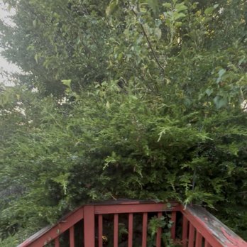 Mendoza Landscaping - Before - Landscaping Near Me Mendoza Landscaping - Before - Landscaping Near Me