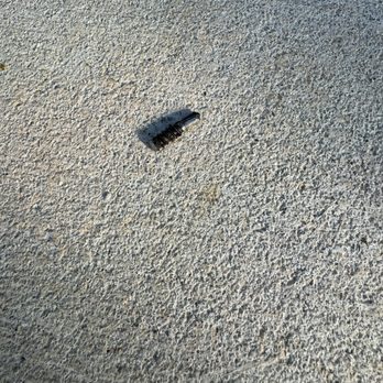 Express Oil Change & Tire Engineers - This is apparently a roofing nail - Tires Near Me - Oldsmar, Florida Express Oil Change & Tire Engineers - This is apparently a roofing nail - Tires Near Me - Oldsmar, Florida