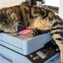 Photo of C & W Motors