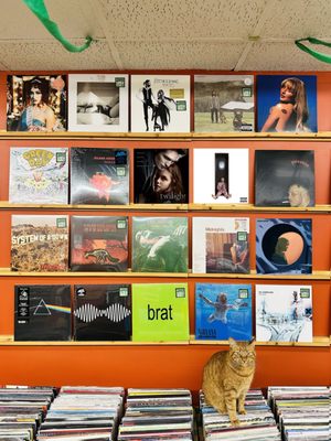 Dumb Records by null