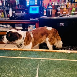 Attitudes - Dog-tender