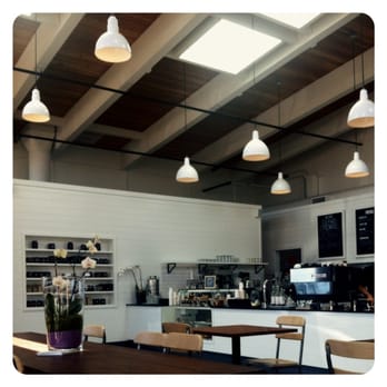 Avid Coffee - Cafes Near Me - Santa Rosa, California Avid Coffee - Cafes Near Me - Santa Rosa, California