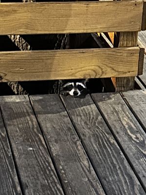 Clay's Restaurant by null