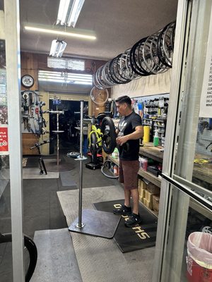 Beverly Hills Bike Shop by null