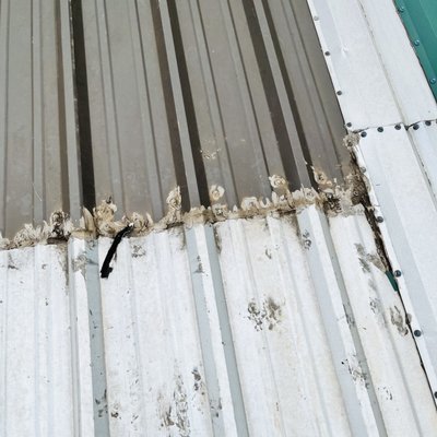 BD Roofing & Paving Logo