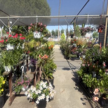 Lakewood Nursery - Nurseries & Gardening Near Me - Cypress, California Lakewood Nursery - Nurseries & Gardening Near Me - Cypress, California