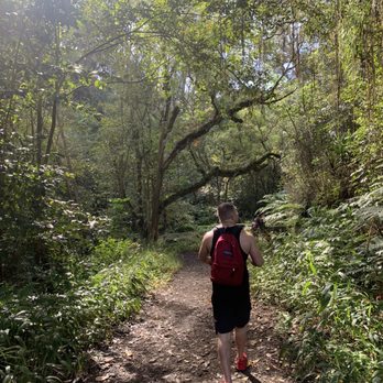 Hike Maui - Tours Near Me - Kahului, Hawaii