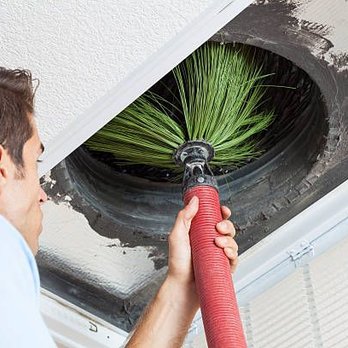 Organic Home Service - Carpet Cleaning Near Me - Dallas, Texas Organic Home Service - Carpet Cleaning Near Me - Dallas, Texas