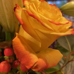Morrows Flowers & Interiors