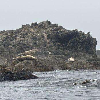 Kayak Mendocino - Tours Near Me - Little River, California Kayak Mendocino - Tours Near Me - Little River, California