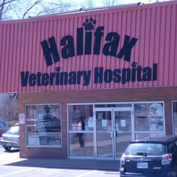 Halifax Veterinary Hospital - Veterinarians Near Me - Halifax, Nova Scotia Halifax Veterinary Hospital - Veterinarians Near Me - Halifax, Nova Scotia