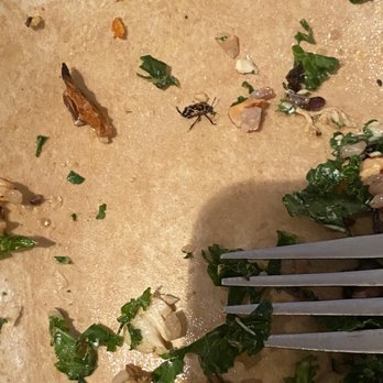 sweetgreen - Healthy Salads, Wraps, and Bowls - Live bug in salad - Salad Near Me - Chicago, Illinois