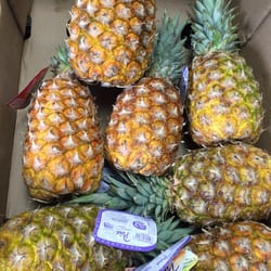 Farah Food Market