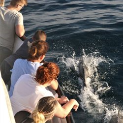 Cruise San Diego